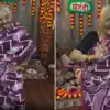 Dadi Dances On Kajra Re Song,पोती की मेहंदी में दादी ने बांधा समां ...