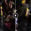 Ped Se Paani Nikalta Dekh Shuru Hui Puja,बात कुछ और थी, समझी कुछ और गई ...