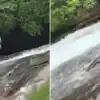 Propose Karte Hue Waterfall Me Gira Banda,वाटरफॉल के टॉप पर प्रेमिका को ...