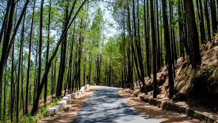 Things To Do In Deghat Uttarakhand,मैप में ढूंढने से नहीं मिलेगी दिल्ली ...