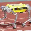 Fast Running Robot In China,Fast Running Robot: रोबोट है या हवा हवाई ...