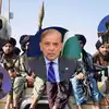 Taliban Pakistan Relations,आंतरिक मामलों में टांग न अड़ाएं, हमारी सब पर ...