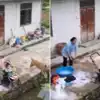 डोगेश भाई का वायरल वीडियो,नीचे गिरने ही वाला था बच्चा, तभी कुत्ते ने ...