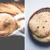 Roti To Soft Karne Dolly Ka Gharelu Tarika,टिफिन में रखते ही रोटियां हो ...