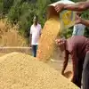 बेचने के कितने दिन बाद मिलेंगे किसानों को पैसे? कितना होगा इस बार समर्थन  मूल्य, धान खरीदी की 5 बड़ी बातें - 5 key facts about paddy procurement how  many days after