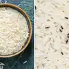 Ek Minute Me Chawal Se Ghun Nikalne Avika Rawat Ka Tarika,'एक मिनट में ...