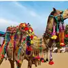 Pushkar Mela From 30th October To 5th November,आज से शुरू हुआ पुष्कर ...