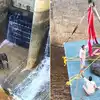 Elephant Stuck In Canal,कर्नाटक में 100 से ज्यादा लोगों ने मिलकर दिया ...