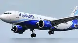 IndiGo की साख पर बट्टा: Moody's IndiGo की साख पर बट्टा: Moody's