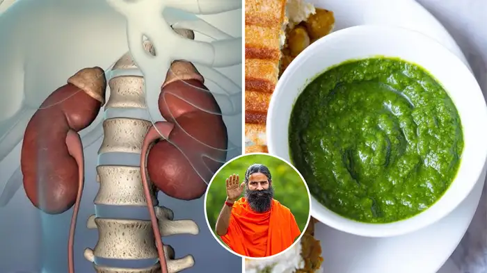 kidney friendly foods kidney friendly foods