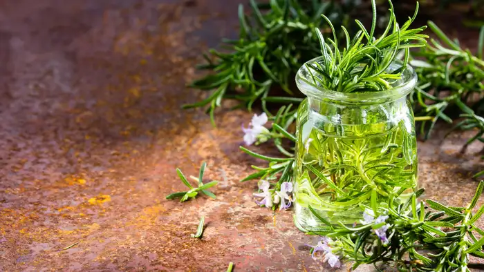 तेल बनाने की विधि 