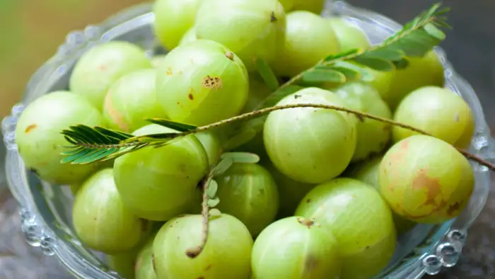 आंवला की चटनी