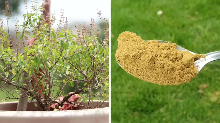 fertilizer fertilizer