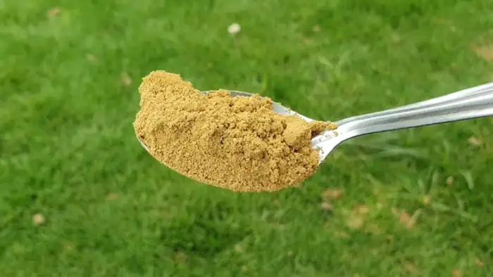 रॉक फास्फेट 