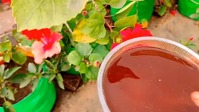 खाद देने का सही तरीका और मात्रा