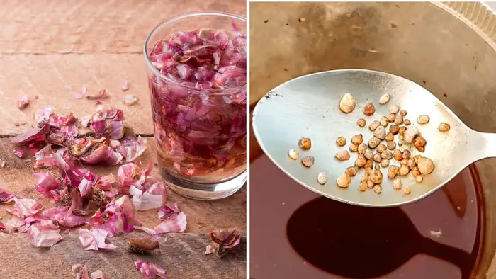 प्याज के छिलके और DAP का कमाल