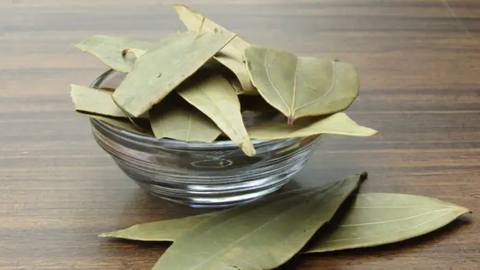 तेज पत्ते की शक्ति