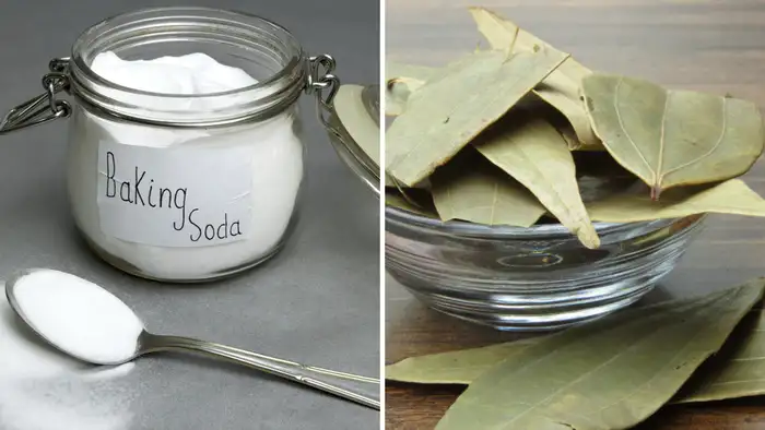 जादुई घोल की सामग्री