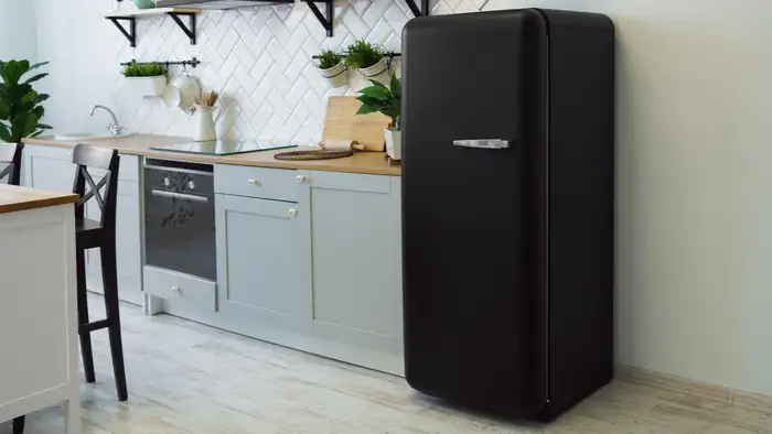 फ्रिज में रखने का नियम