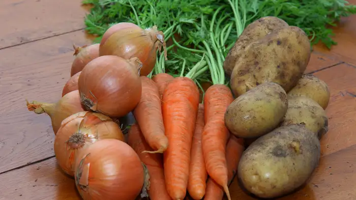 नारंगी गाजर- सलाद और अचार के लिए बेस्ट