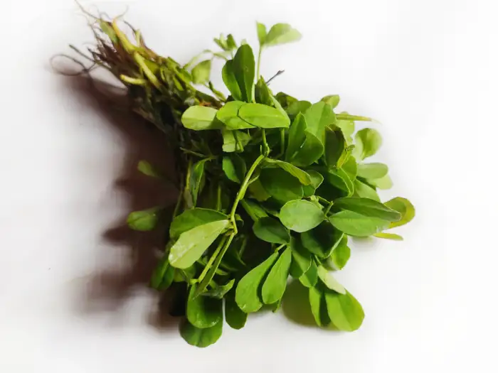 methi saag fenugreek leaves