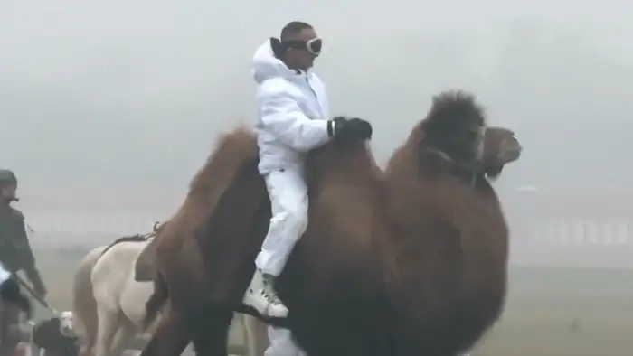 4000 साल पहले बने पेट