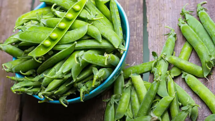 ठंडे पानी का  शॉक ट्रीटमेंट 