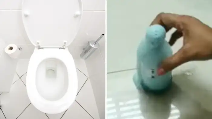 remove yellow stains from toilet remove yellow stains from toilet