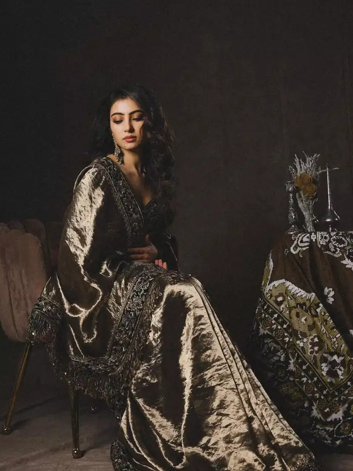 बॉर्डर से मिला साड़ी को शाही टच