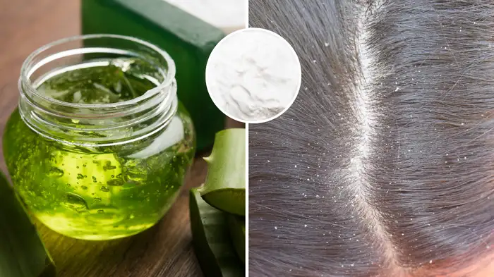 curd and aloevera gel for hair curd and aloevera gel for hair