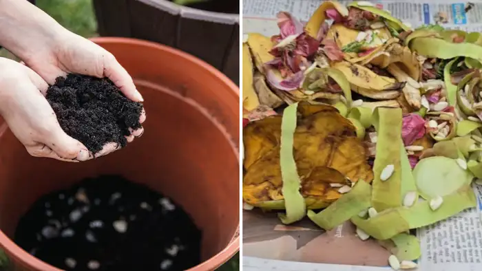 मिट्टी और किचन वेस्ट की लेयरिंग