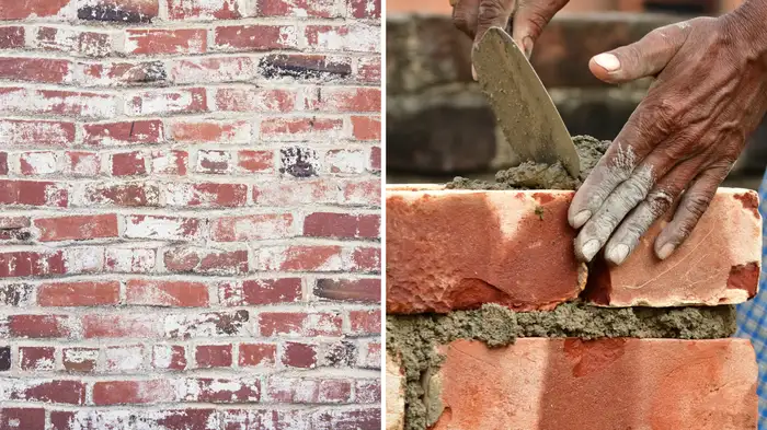 Why does wall leave white salt after brick work Why does wall leave white salt after brick work