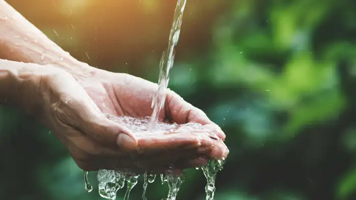 पानी की जांच है सबसे जरूरी