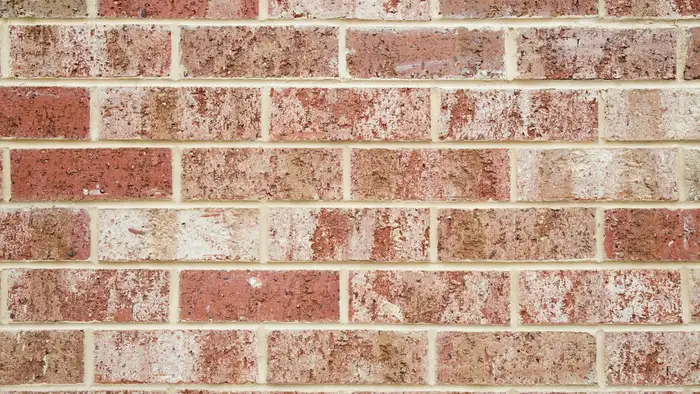 शोरा या  फ्लोरेसेंस क्या है?