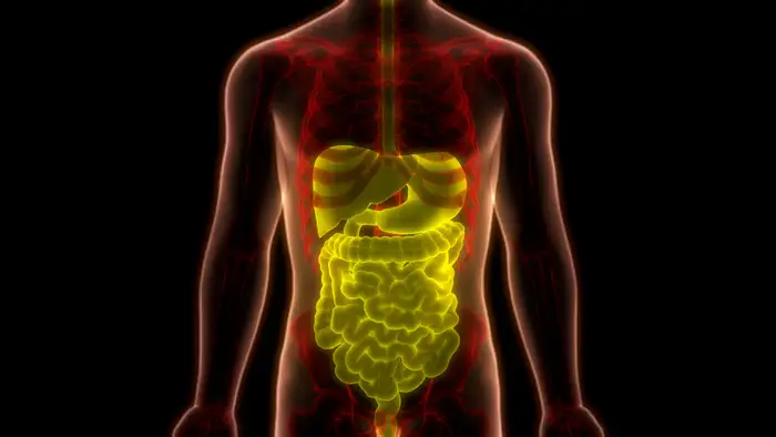 ginger benefits for digestive system ayurveda3