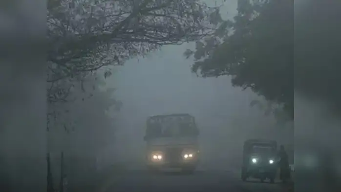 रामपुर में छाई धुंध, बस ने ट्रक में मारी टक्कर,10 लोग घायल रामपुर में छाई धुंध, बस ने ट्रक में मारी टक्कर,10 लोग घायल