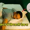 Swapan Sashtra Lizard Dream : सपने में छिपकली देखने शुभ या अशुभ, स्वप्न ...