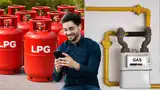पाइपलाइन गैस के साथ LPG भी रखा है? फौरन लौटा दें सिलेंडर, कनेक्शन वापस करने के लिए जानें ऑनलाइन प्रोसेस पाइपलाइन गैस के साथ LPG भी रखा है? फौरन लौटा दें सिलेंडर, कनेक्शन वापस करने के लिए जानें ऑनलाइन प्रोसेस