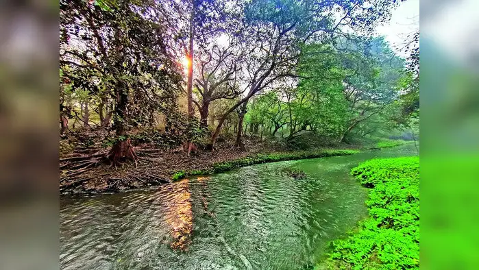 जंगल, झीलों को पर्यटन स्थल बनाने की मंज़ूरी जंगल, झीलों को पर्यटन स्थल बनाने की मंज़ूरी