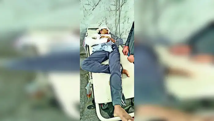 स्वच्छंद विचरण के लिए छोड़ा गया चौथा गैंडा स्वच्छंद विचरण के लिए छोड़ा गया चौथा गैंडा