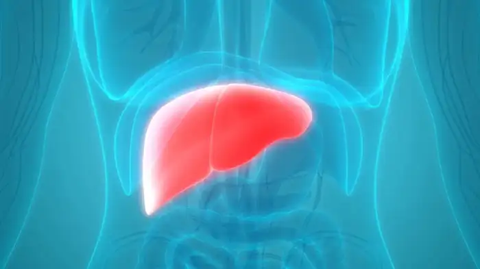 liver cirrhosis liver cirrhosis
