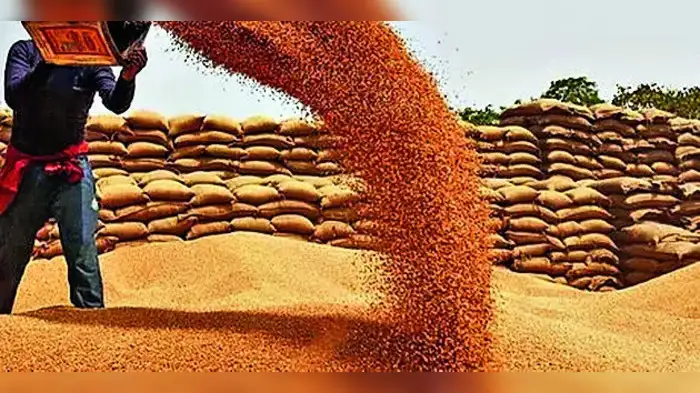 गेहूं की खरीद आज से शुरू गेहूं की खरीद आज से शुरू