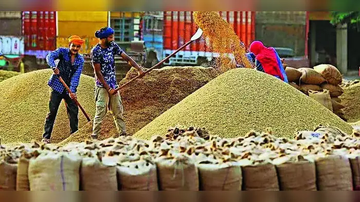 गेहूंं खरीद में कच्ची पर्ची बंद गेहूंं खरीद में कच्ची पर्ची बंद