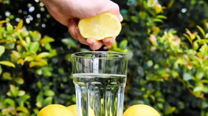 lemon water lemon water