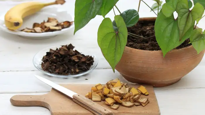 मिश्रण बनाकर इस्तेमाल करने का तरीका 