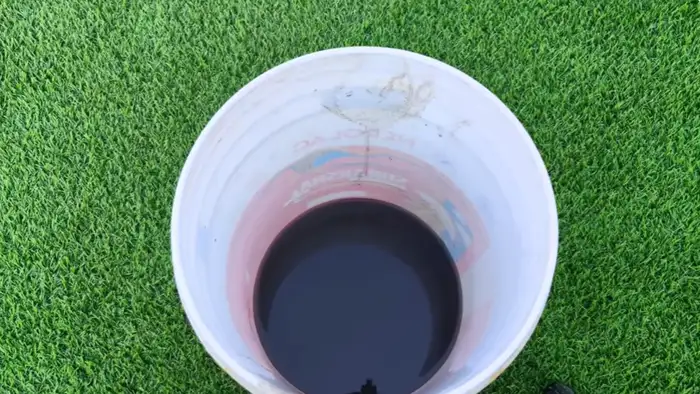 कलियां आने पर सीवीड खाद डालें