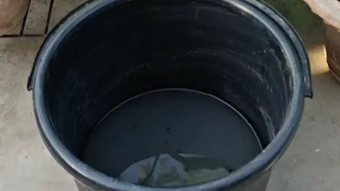 5 गुना पानी  का नियम