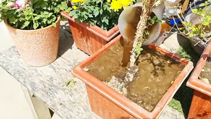 इस्तेमाल का सही तरीका और समय