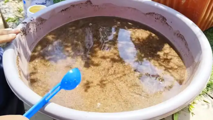 3 चीजों वाला लिक्विड फर्टिलाइजर 