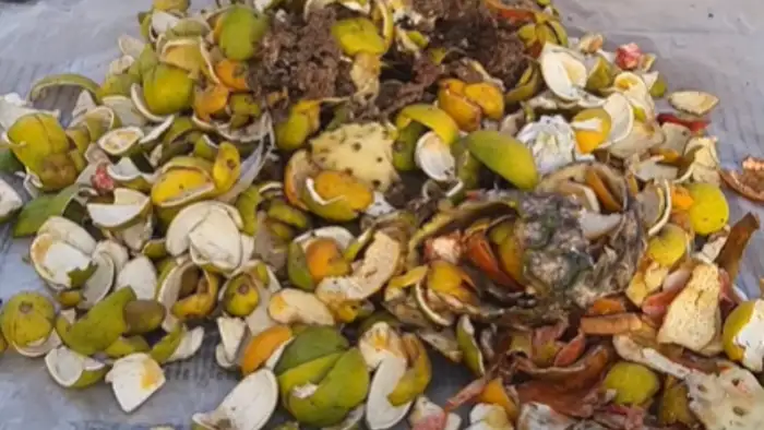 कचरा नहीं, यह है खजाना 